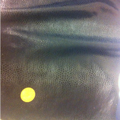 דמוי עור לייקרה נחש נייבי 